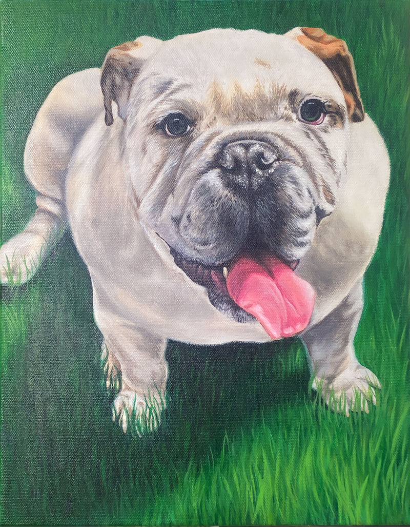 Colorful illustration of a bulldog on grass