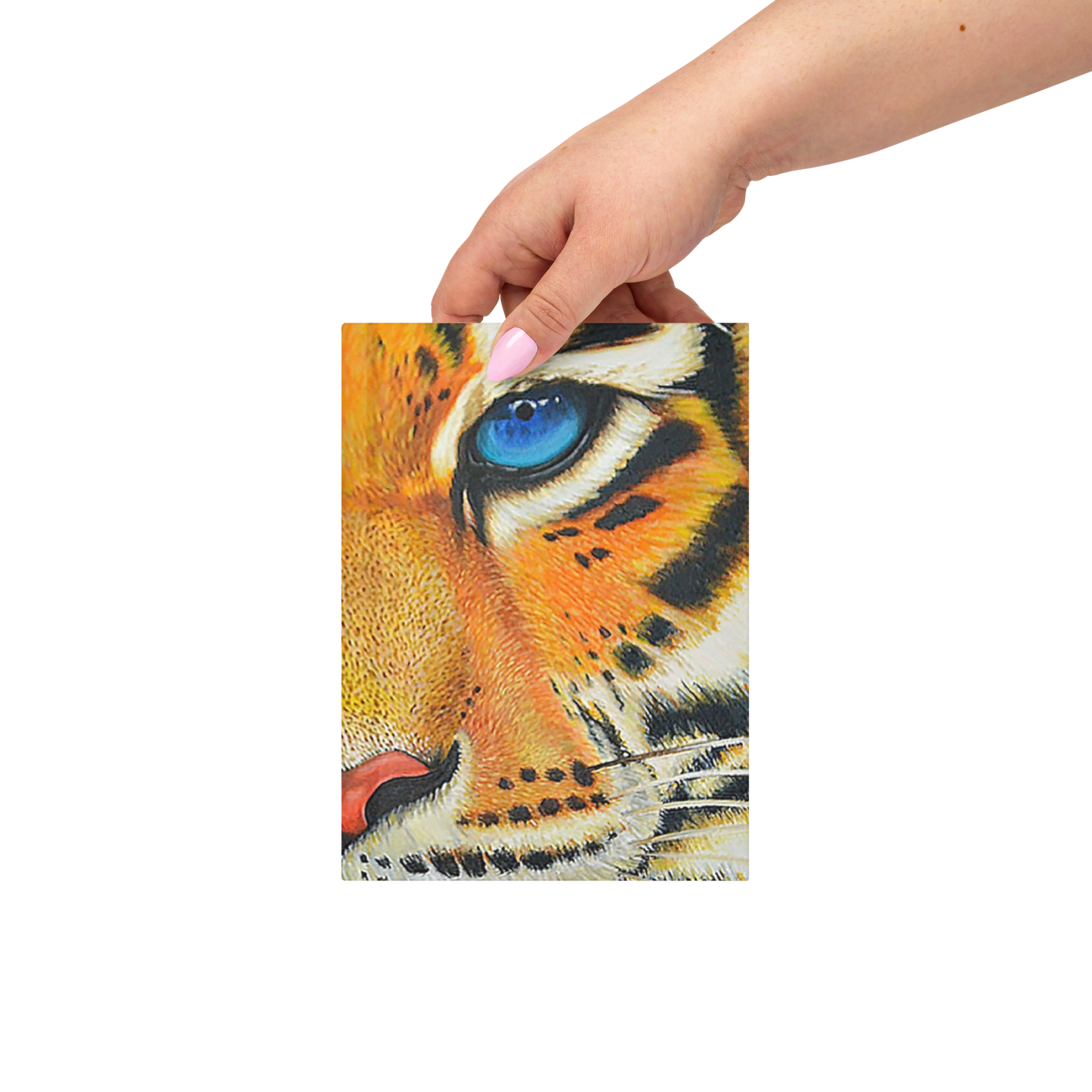 “El Gato” Hardcover journal matte